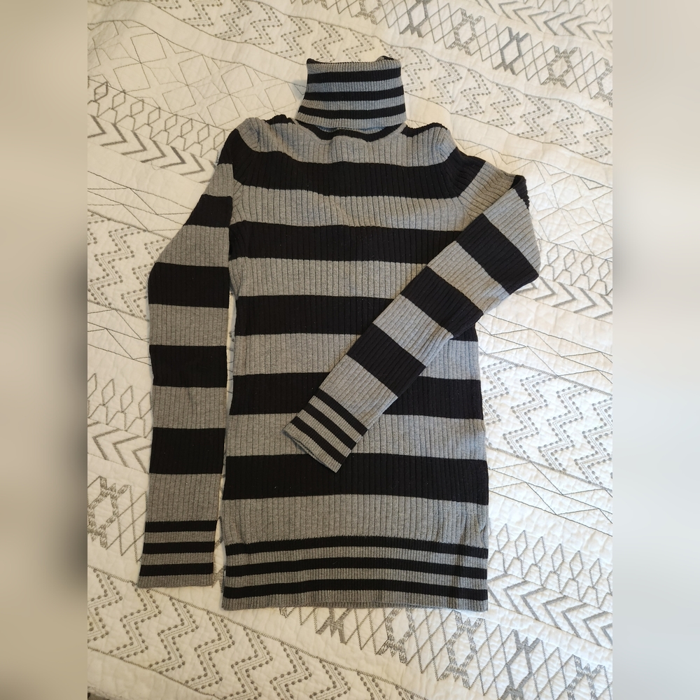Stripped Turtle neck sweater